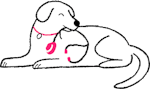 Dog with a stethascope