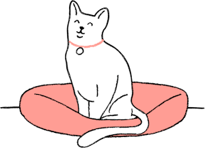 Cat in bed