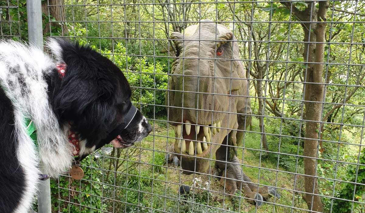 A dog looking at a dinosaur