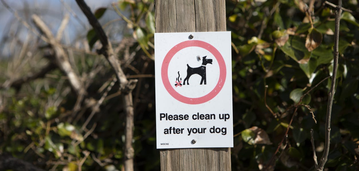 Dog poo sign