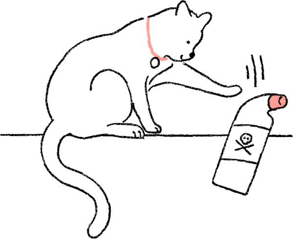 Cat knocking over poison 