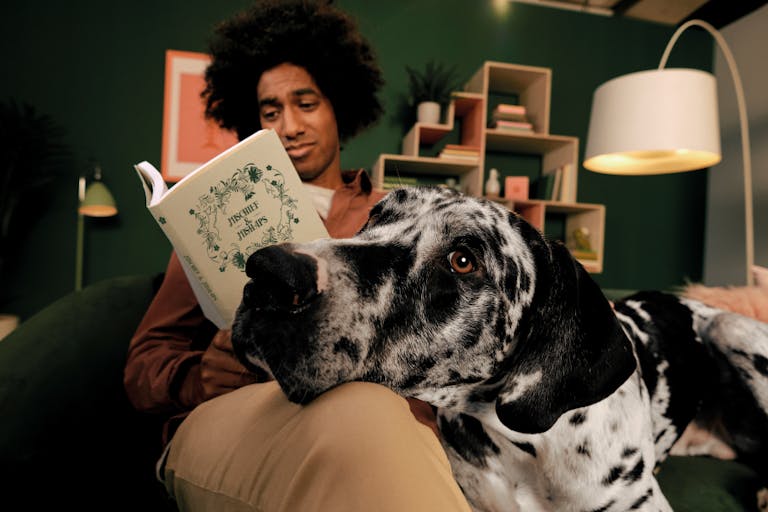 Best Dog Insurance Companies 2021