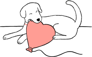 Pets and
