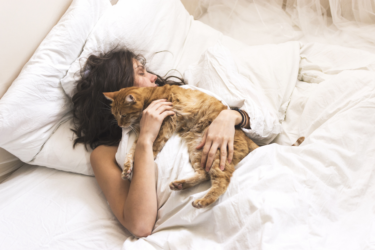 sharing a bed with a dog