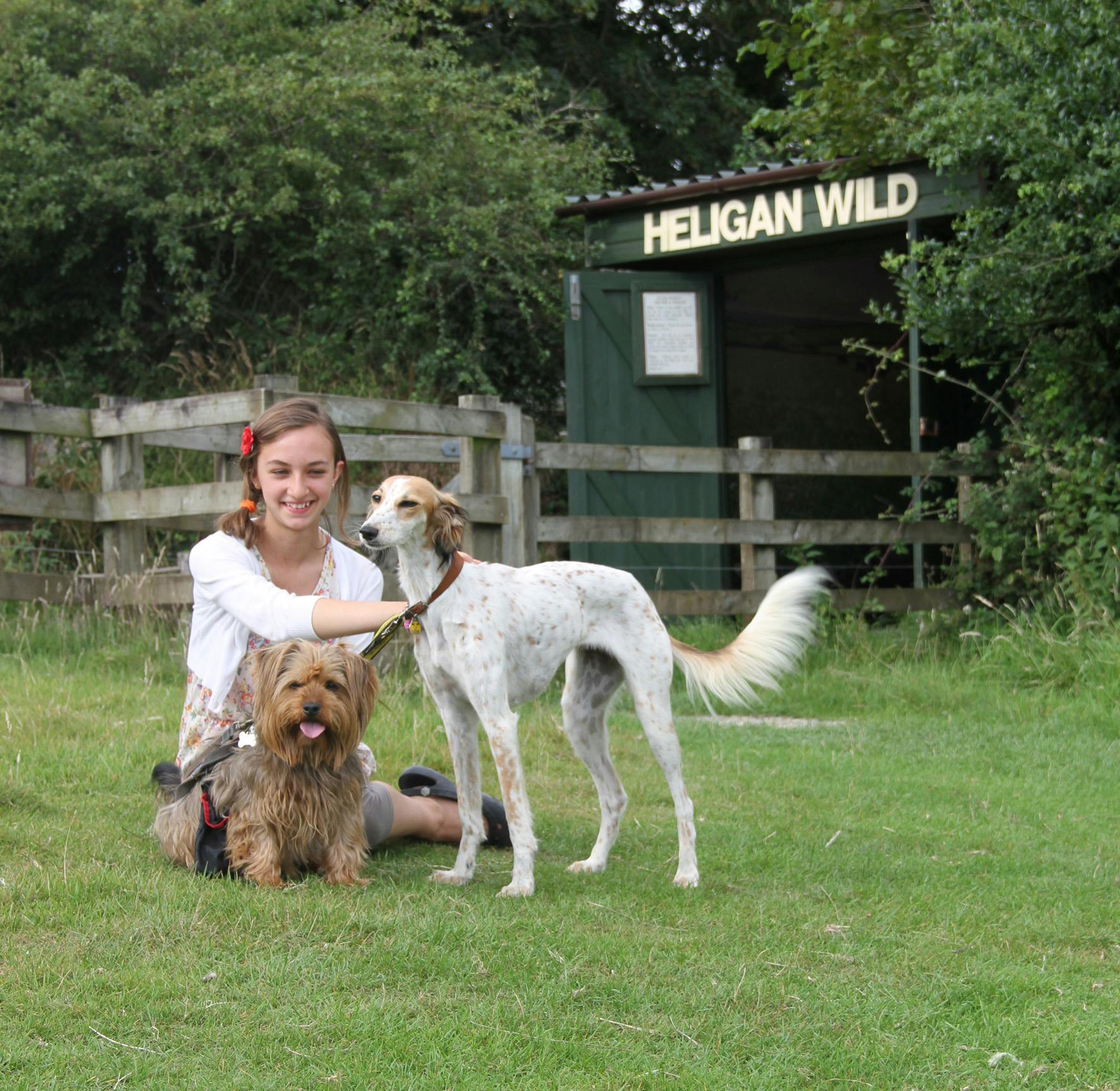 Dogs at the Lost gardens of Heligan
