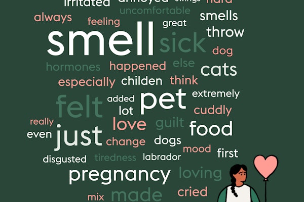 Word cloud of how women feel about their pets during pregnancy