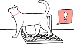 Cat walking on computer
