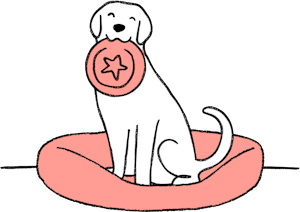 Dog with frisbee
