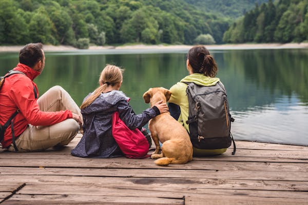 Dog-friendly family holidays in the UK