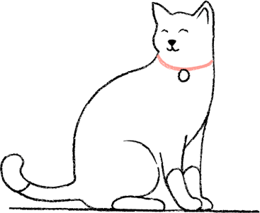 Cat sitting