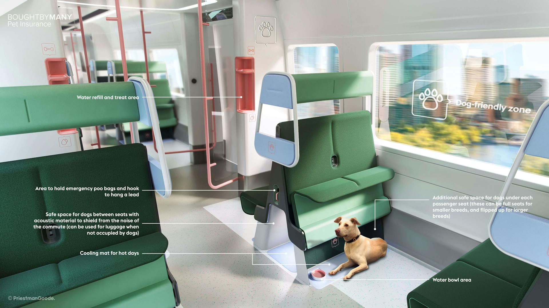 dog-friendly train design