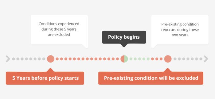 pre existing health conditions infographic 3