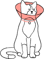 Cartoon cat with collar