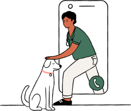 Cartoon vet stepping out of a phone to pet dog