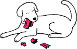 Dog eating a credit card