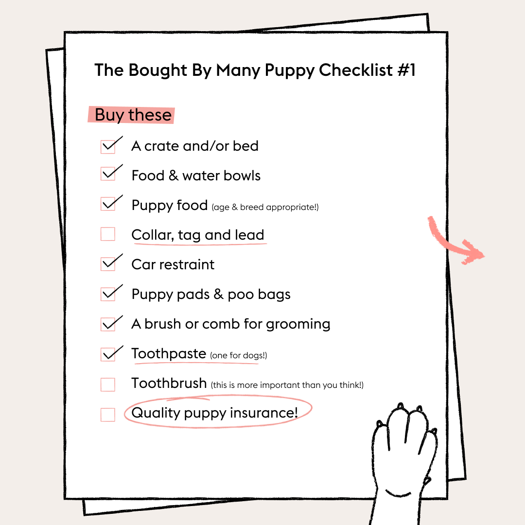 new puppy shopping checklist