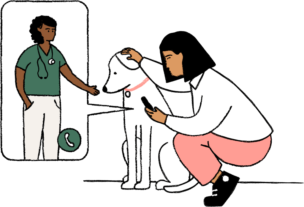 Person on vet call with her dog