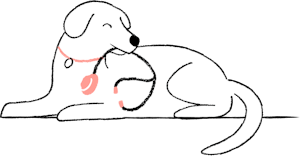 Dog with stethoscope