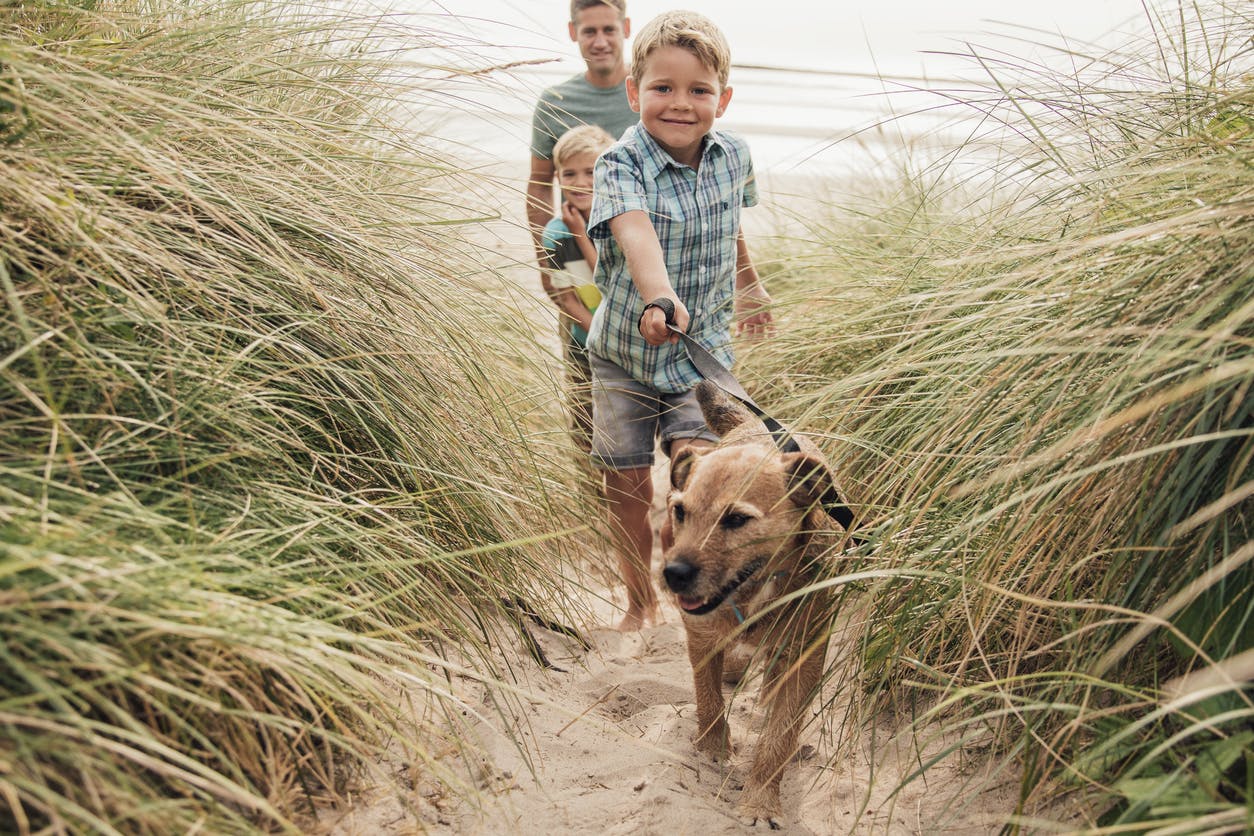 A dog and boy going to the beach