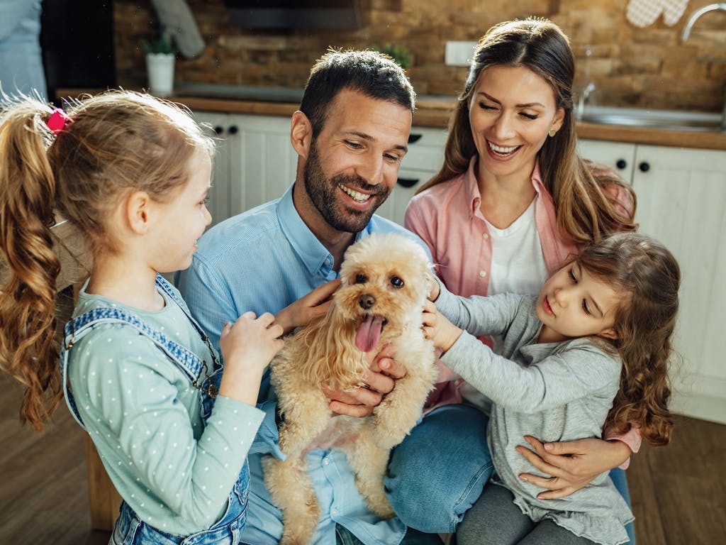 A family with a cockapoo