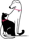 A cat and a dog, sitting, looking at each other.