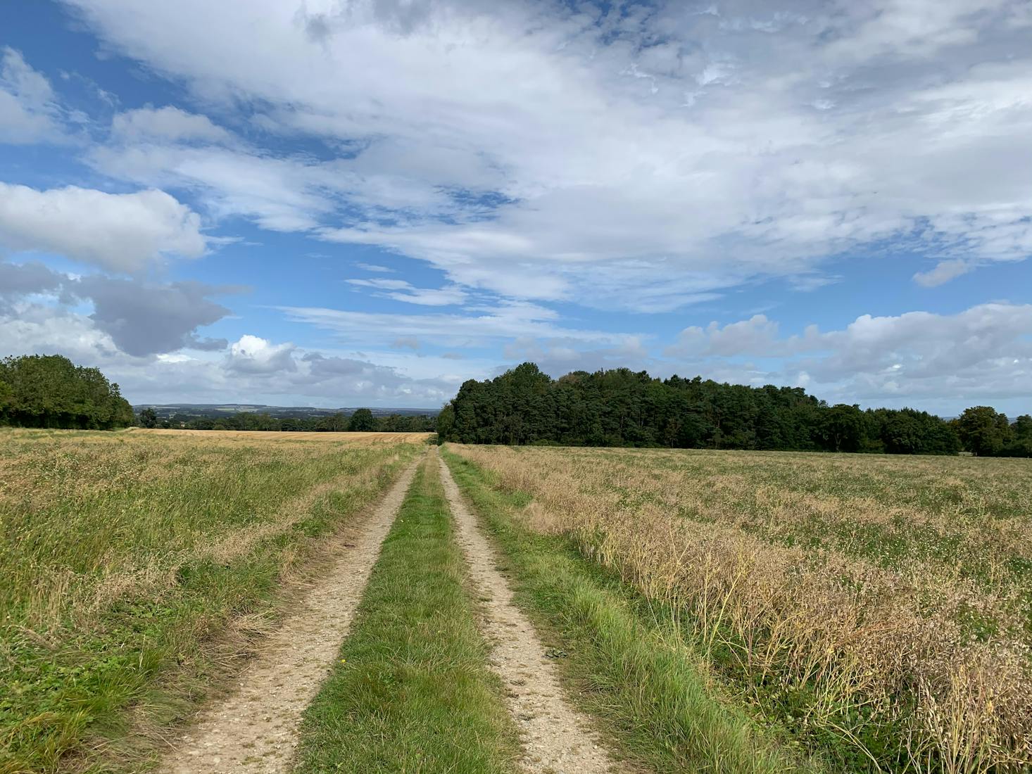 Country road in York