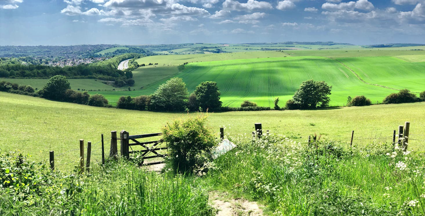 Rolling fields in Brighton