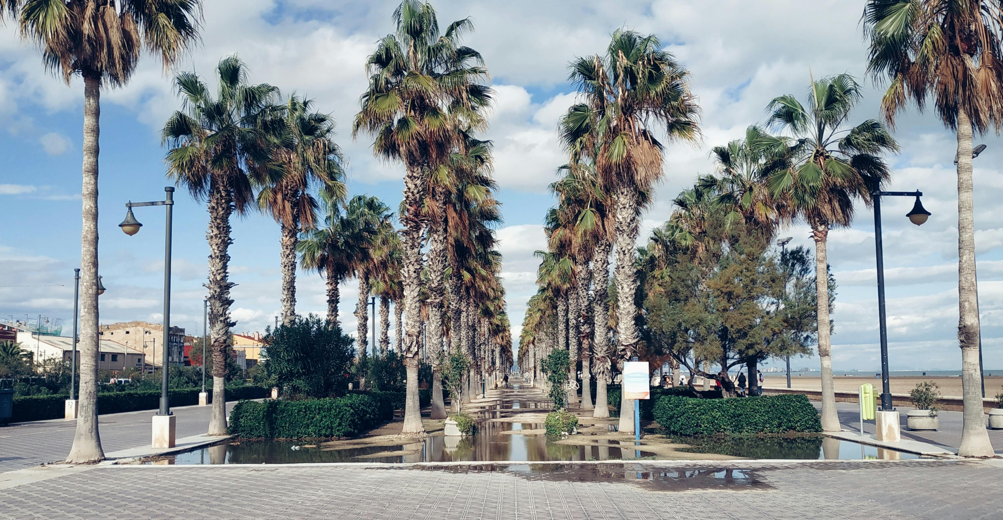 Beaches in Valencia