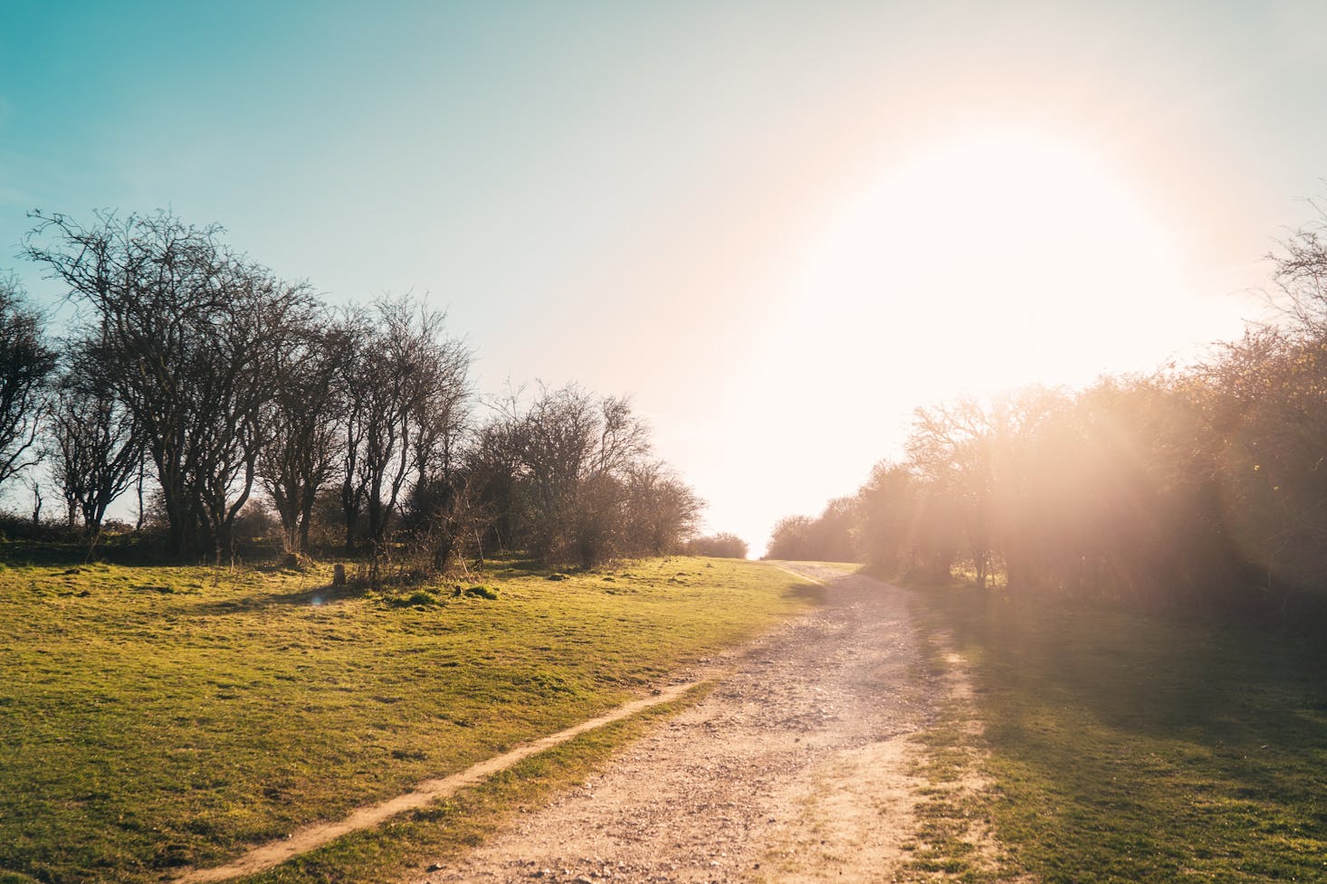 Walking trail in Brighton