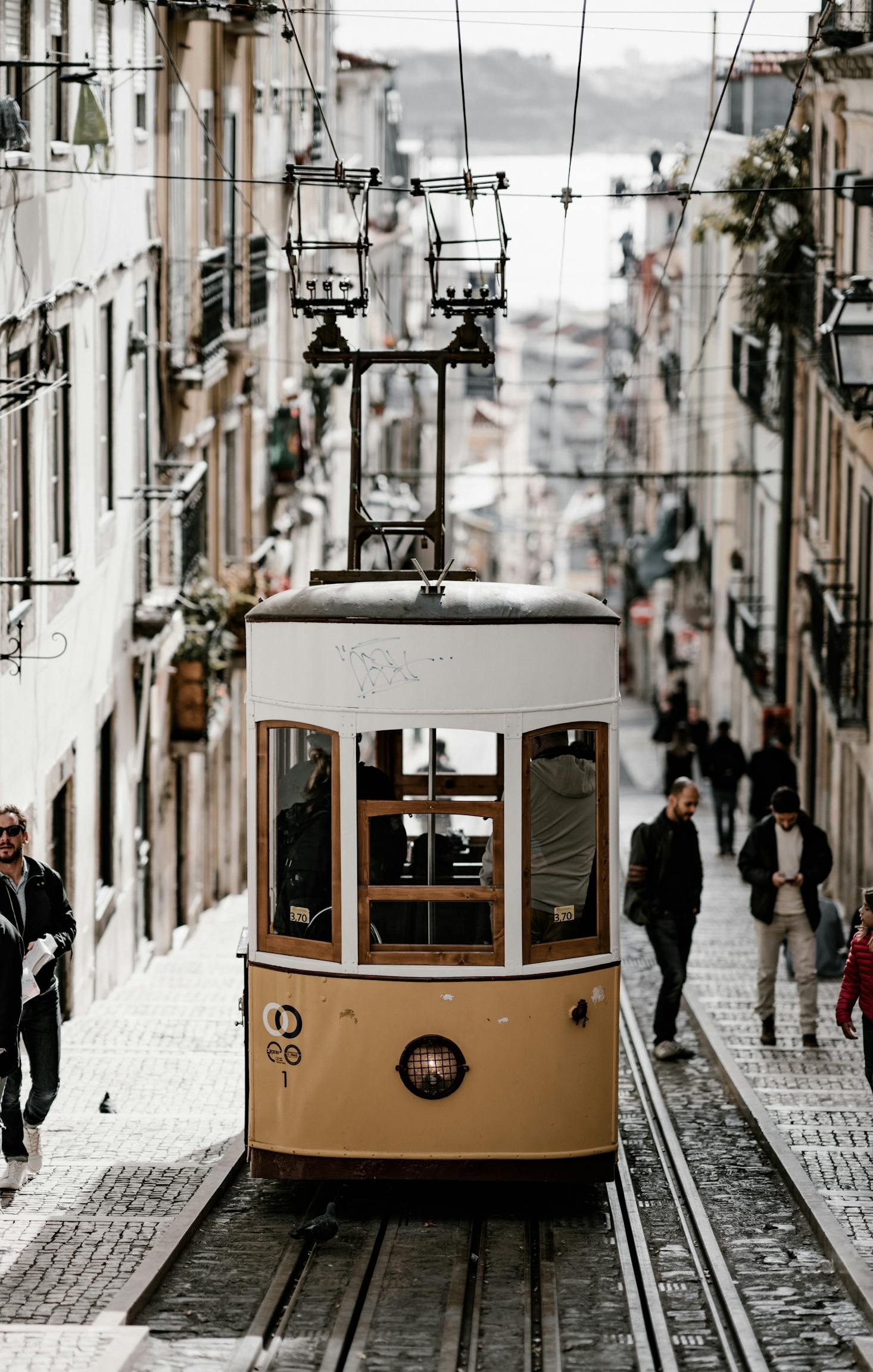 tram on lisbon street