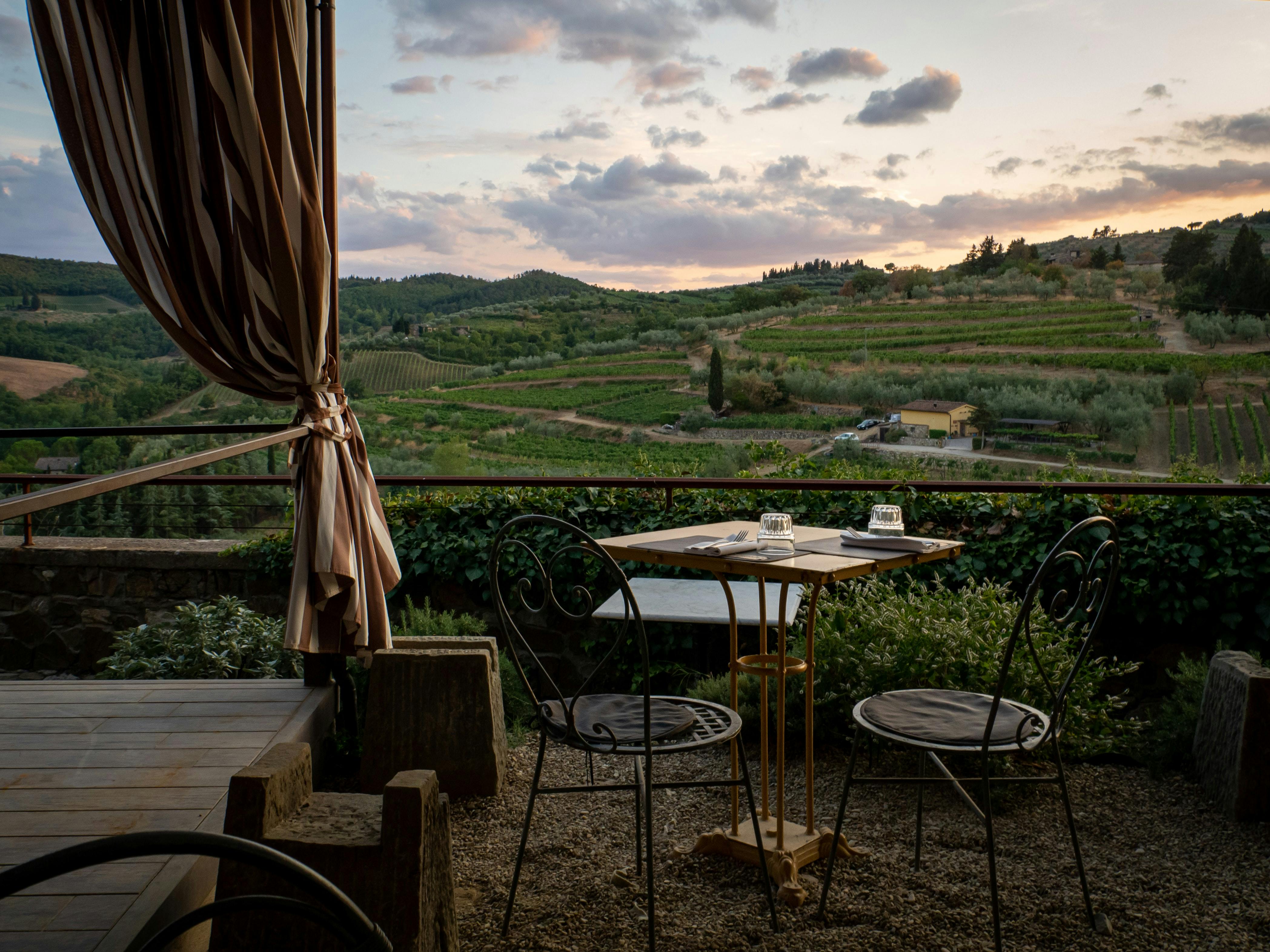 Wineries near Pisa
