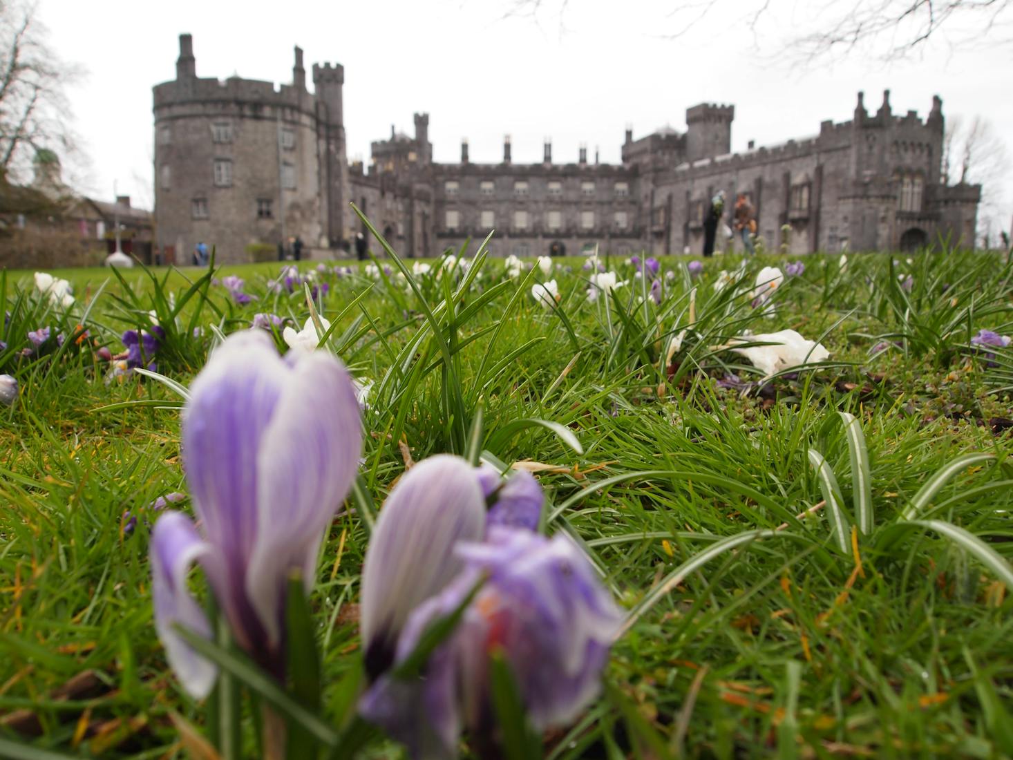 Kilkenny weekend trips from Dublin