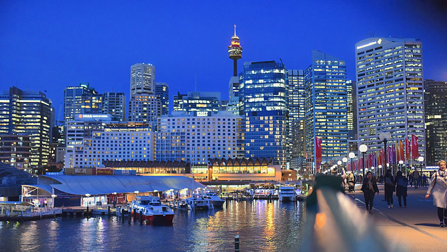 Sydney skyline at night