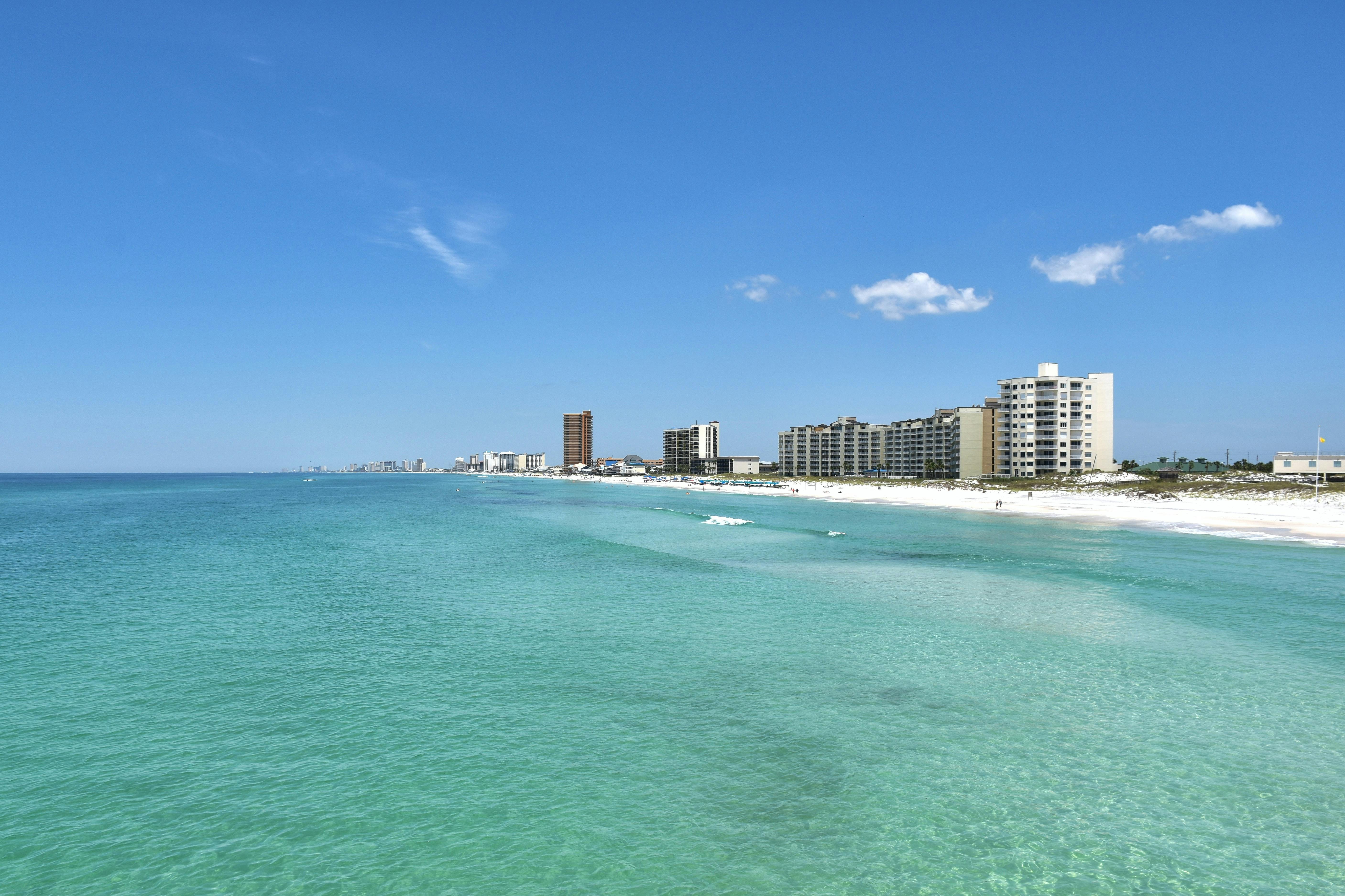 are dogs allowed on beach in panama city florida