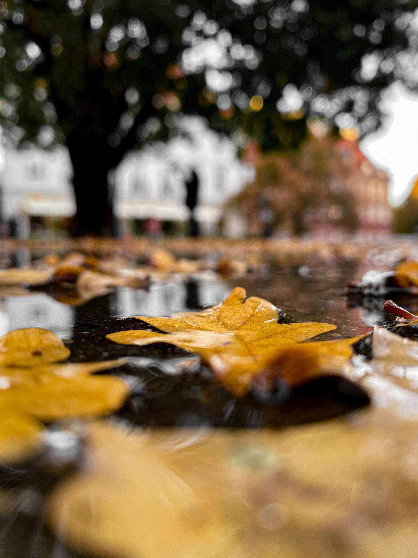 How to spend a rainy day in Warsaw, Poland