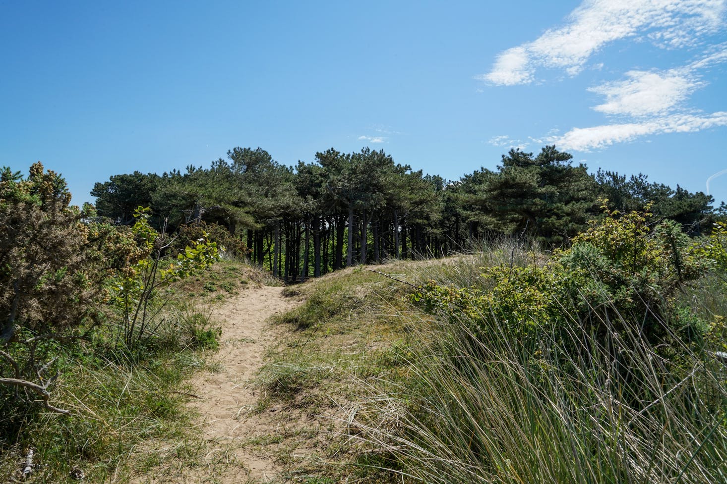 Hikes in Liverpool