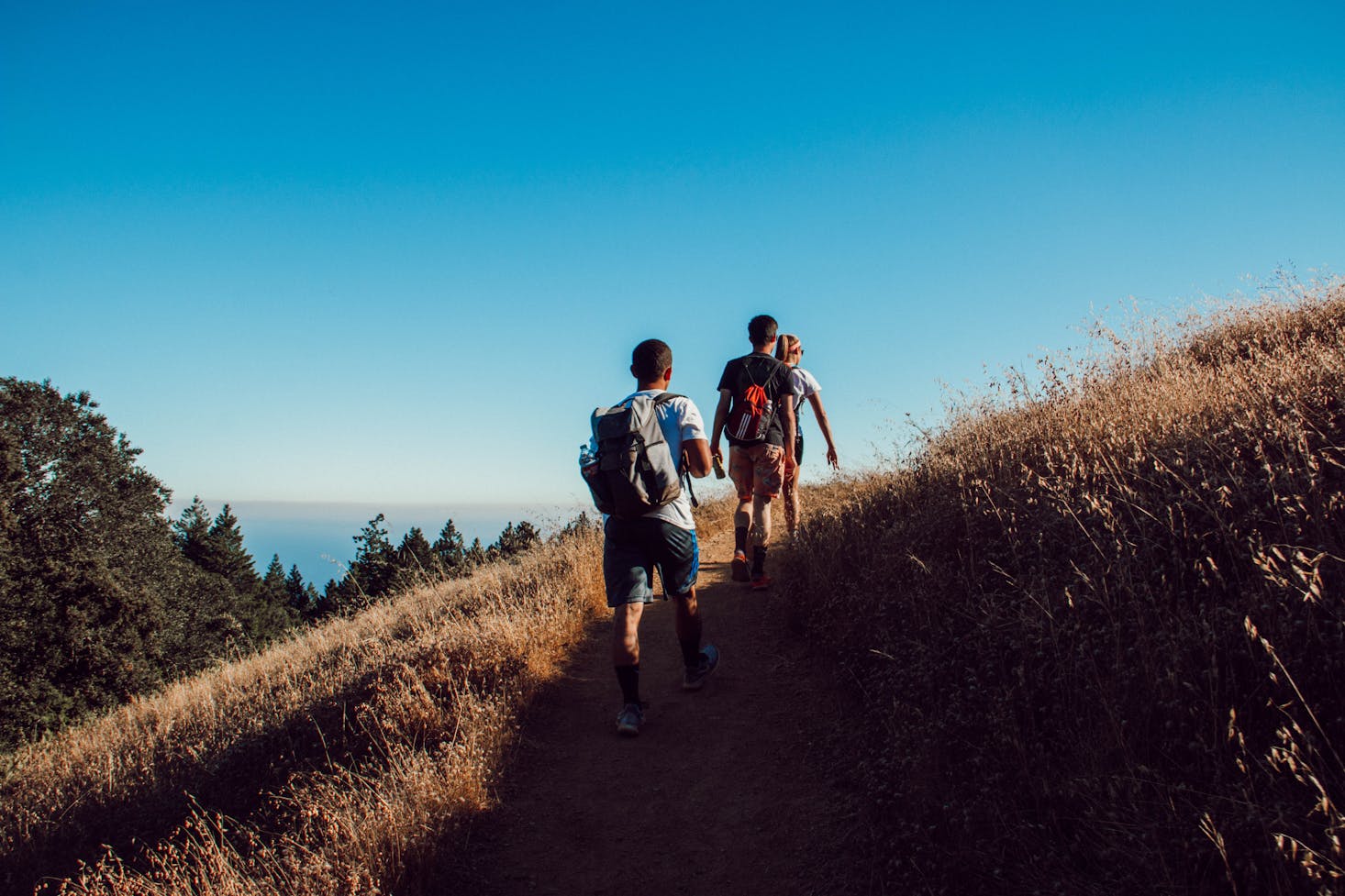 Hiking in California