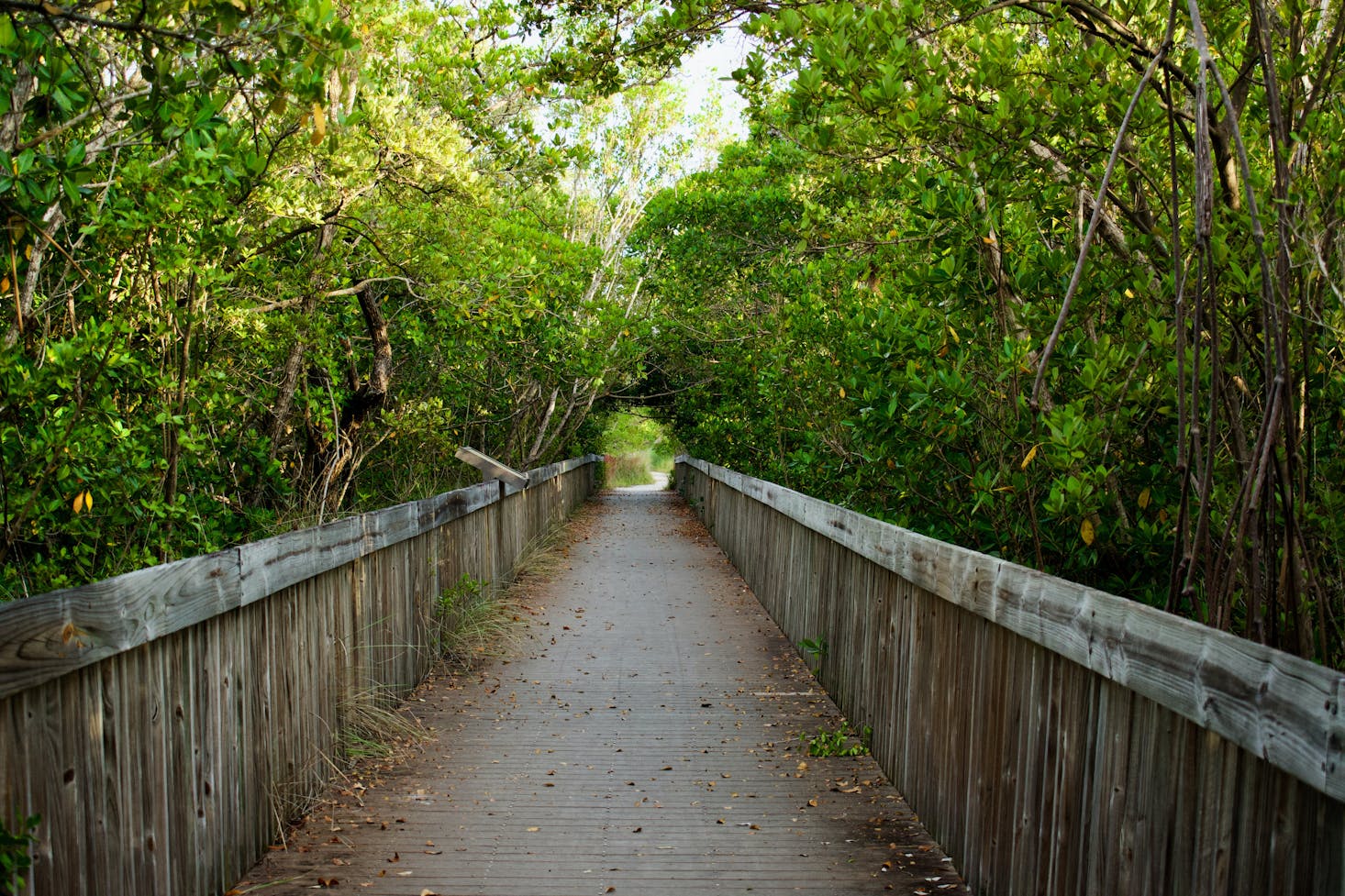 Miami, Florida