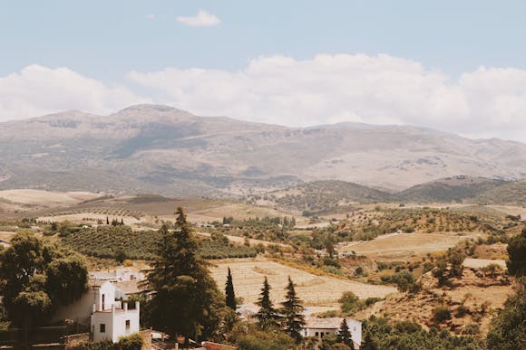 Wine tasting near Malaga