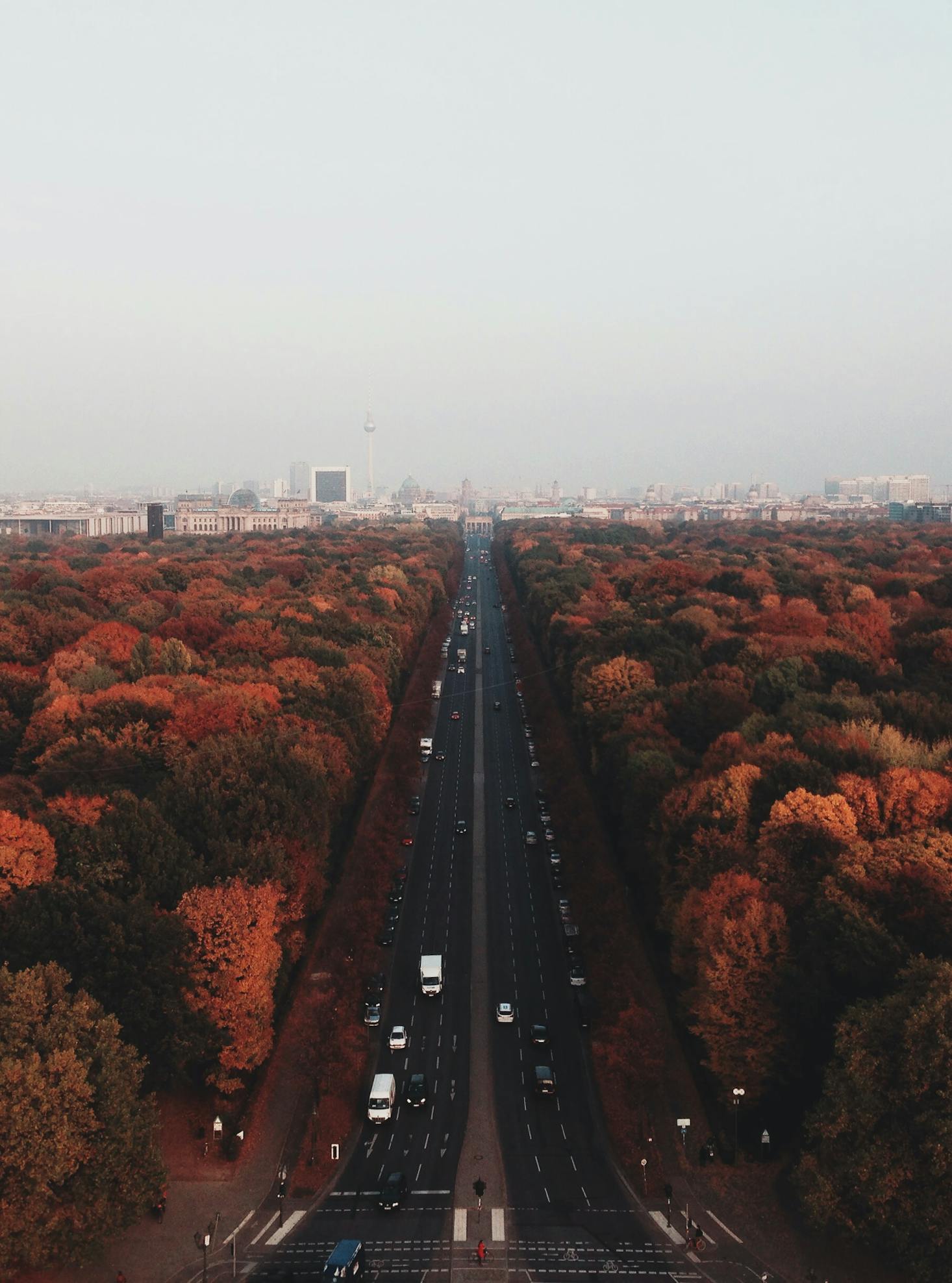 Busy road flanked by autumn leaves on a cloudy day in Berlin