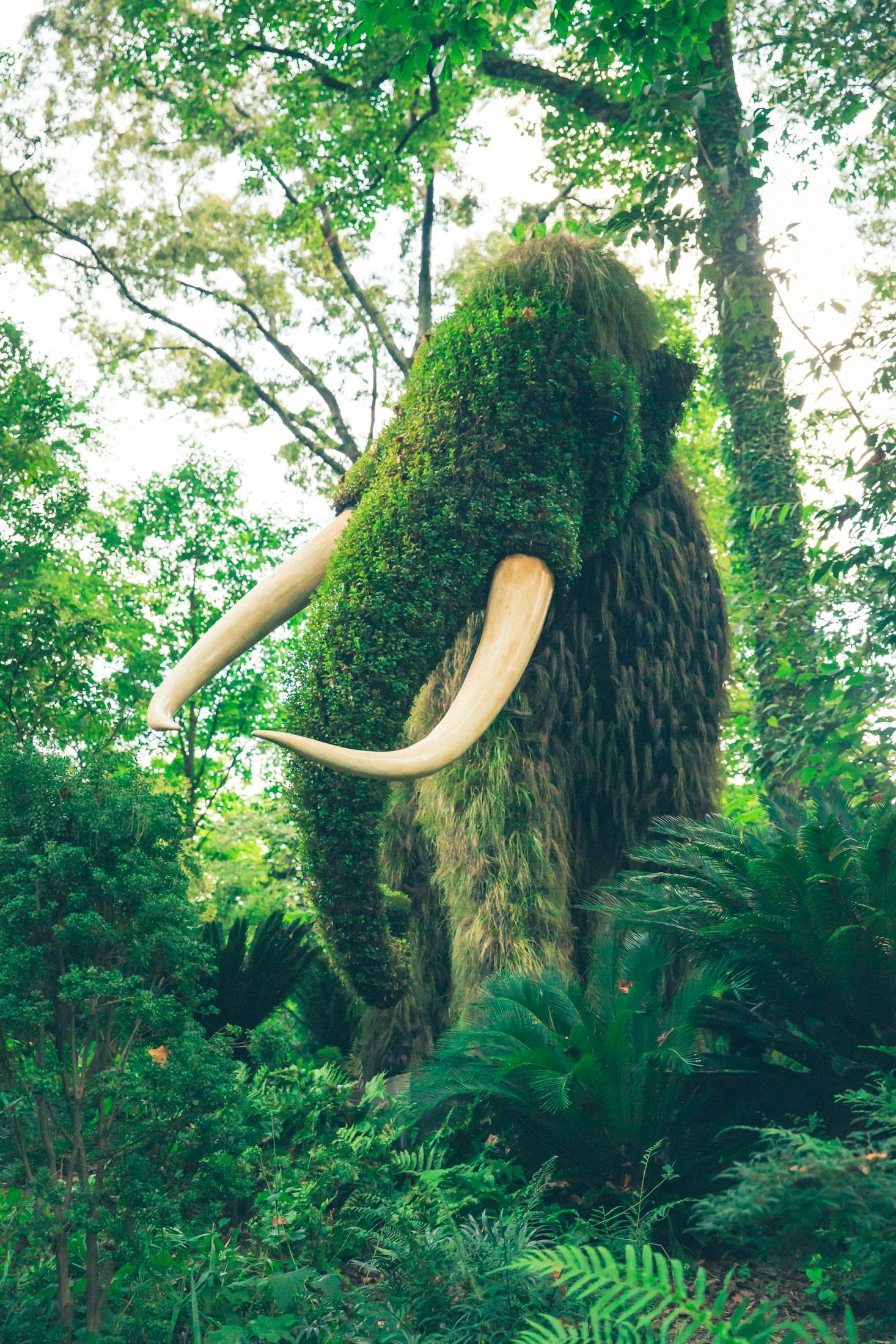 plant sculpture of woolly mammoth