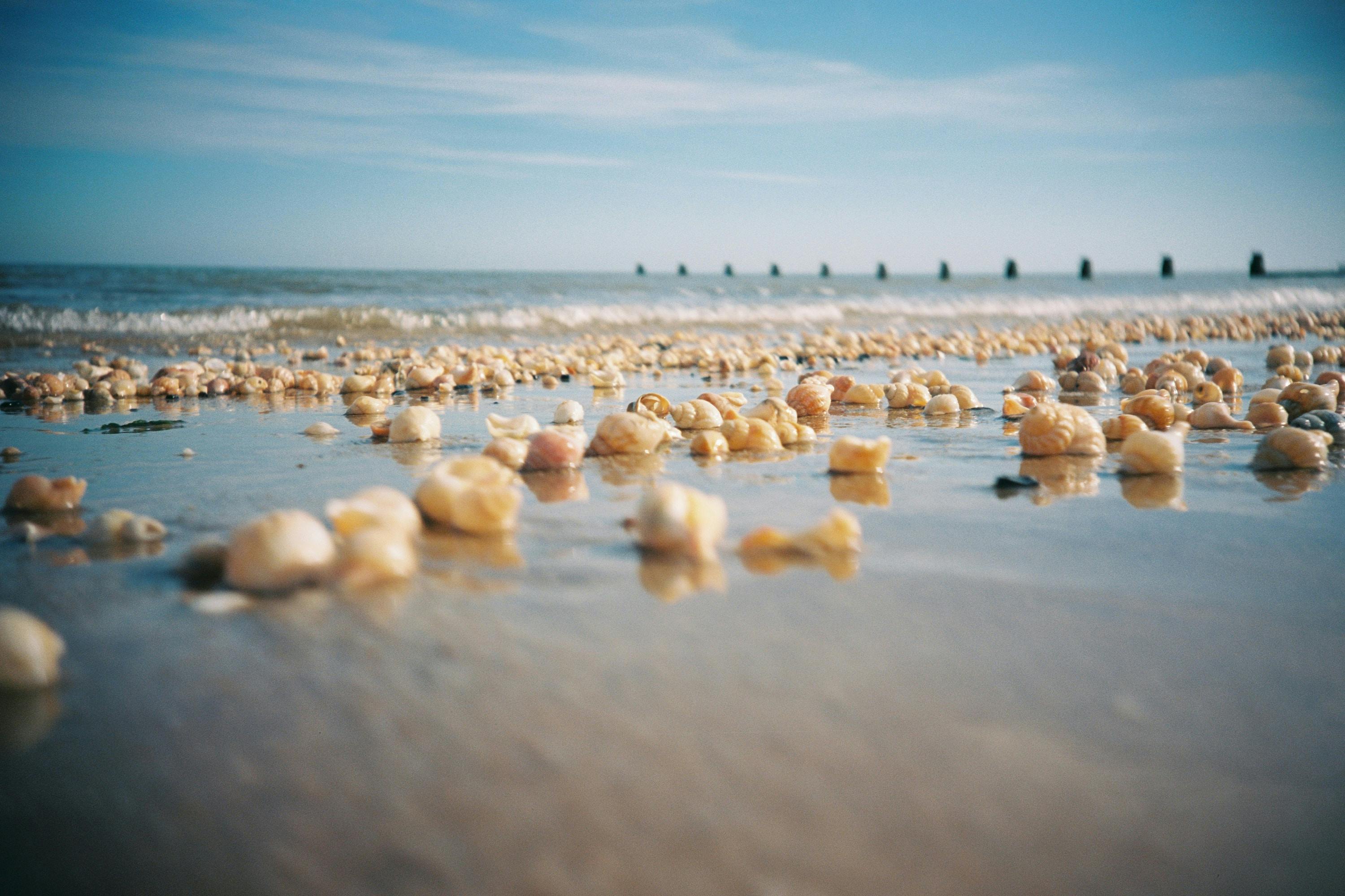 Walton-On-The-Naze