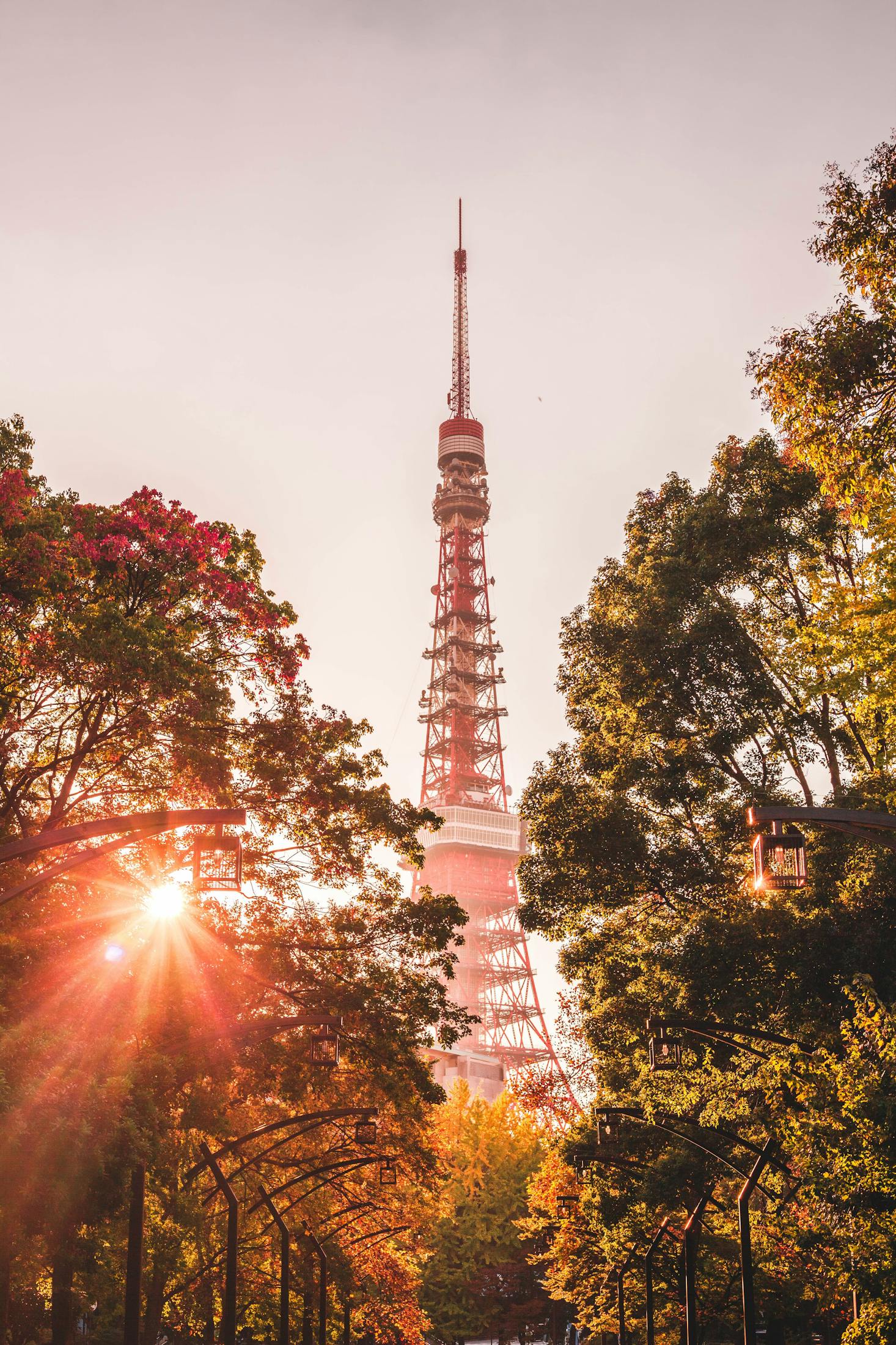 view of Tokyo Tower through trees