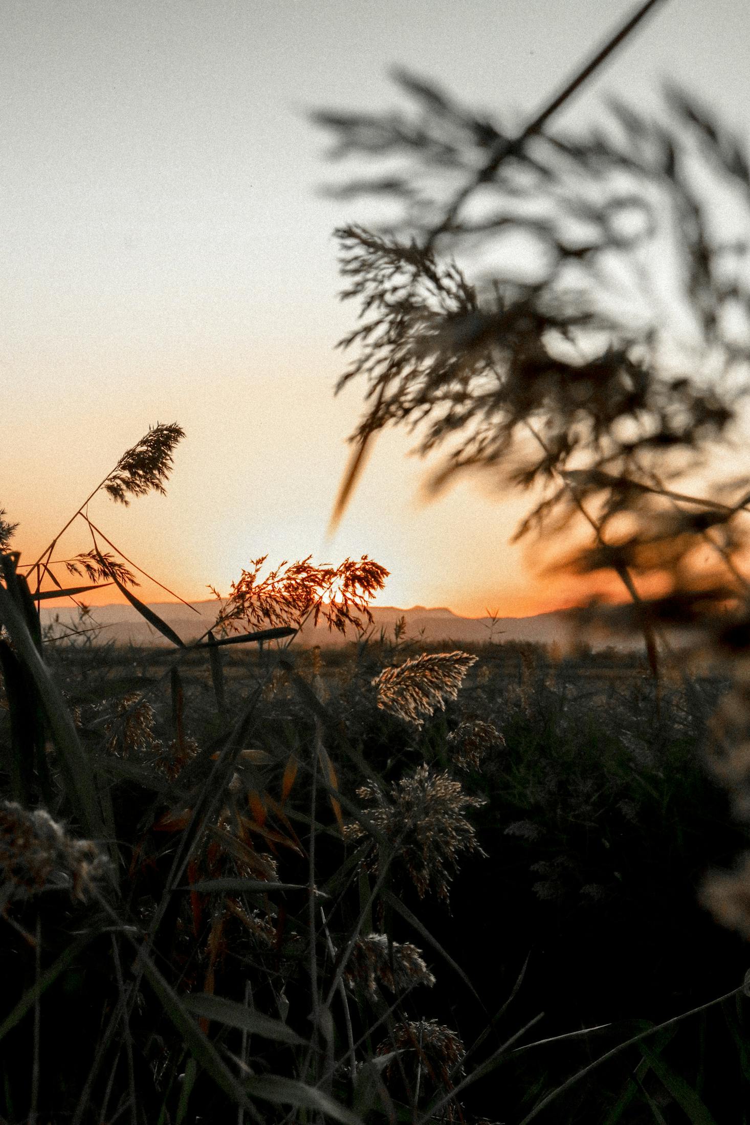 Hiking in Valencia, Spain