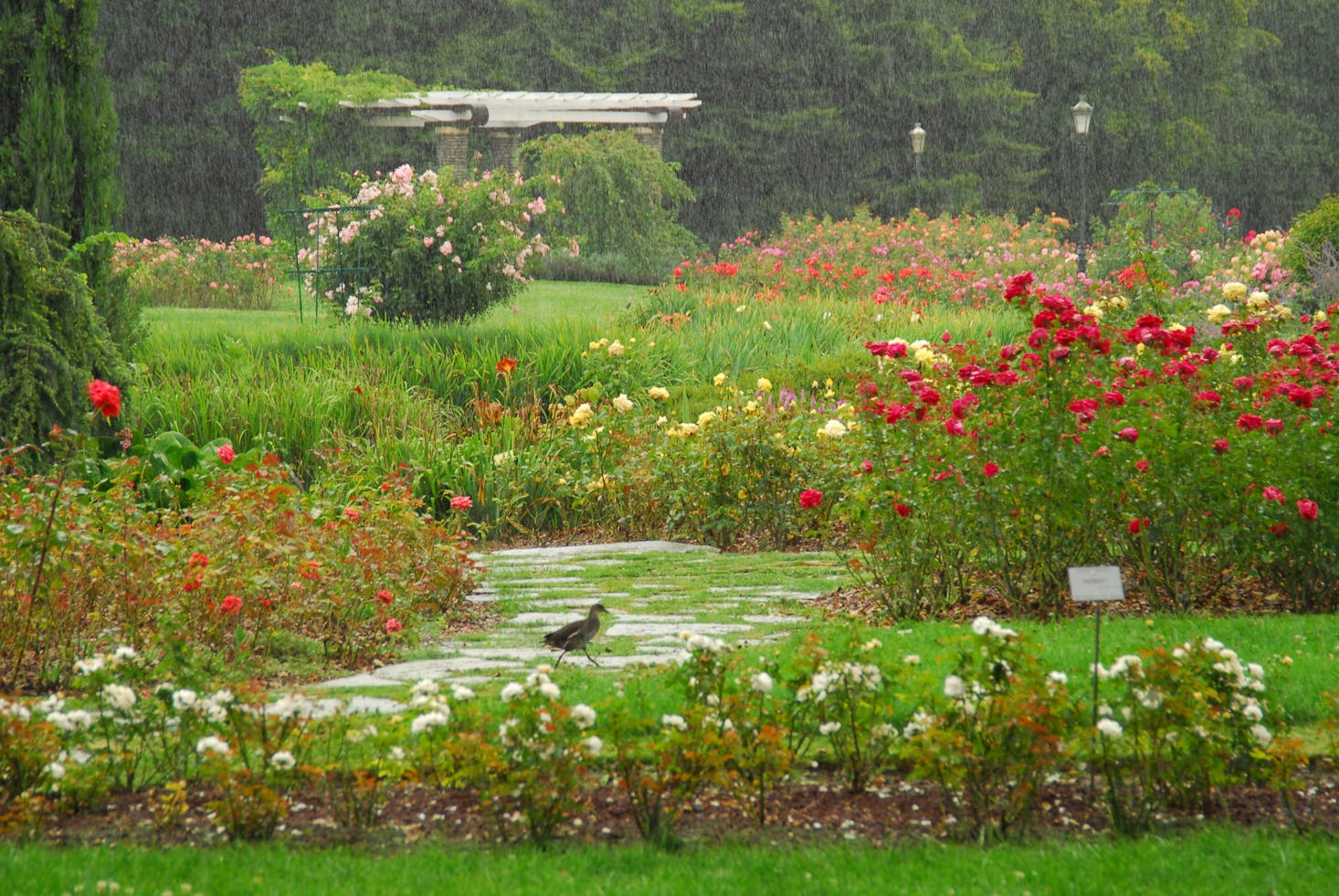 Rainy day activities in Lyon, France