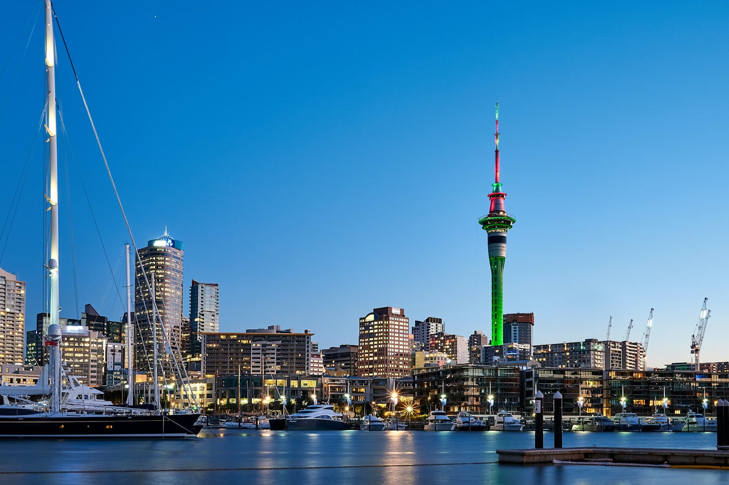 Auckland on a budget