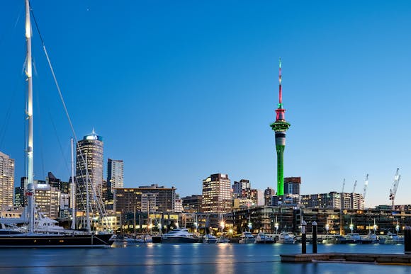 Auckland on a budget