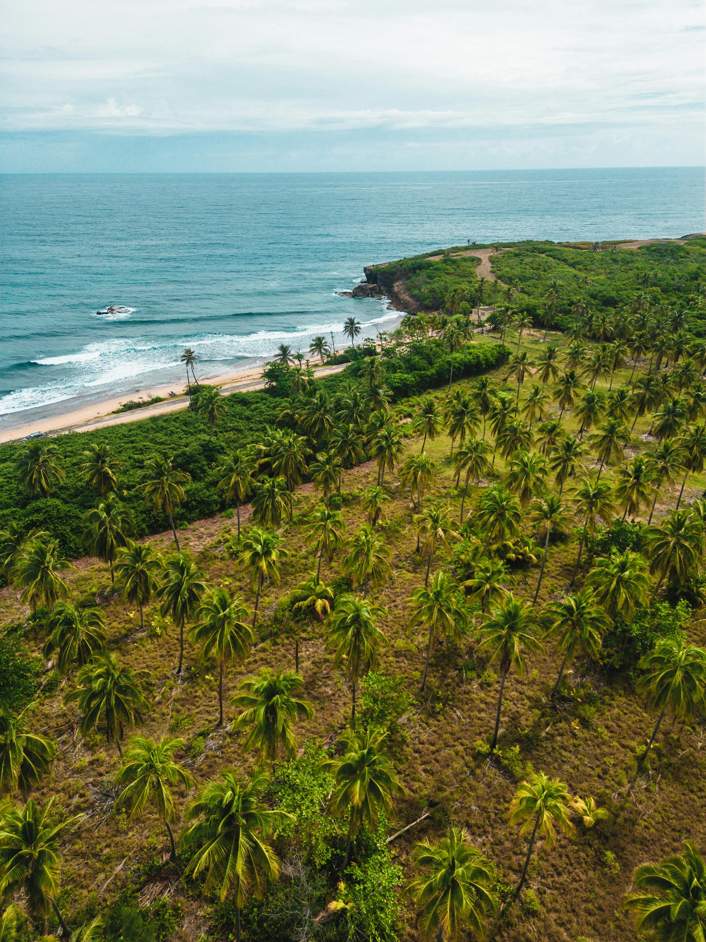 5 beaches near San Juan: Where to go for sun, sand, and surf - Bounce