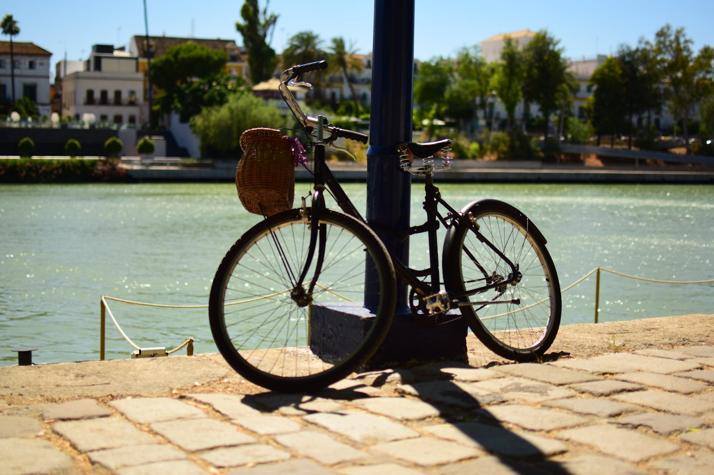 Cycling in Seville