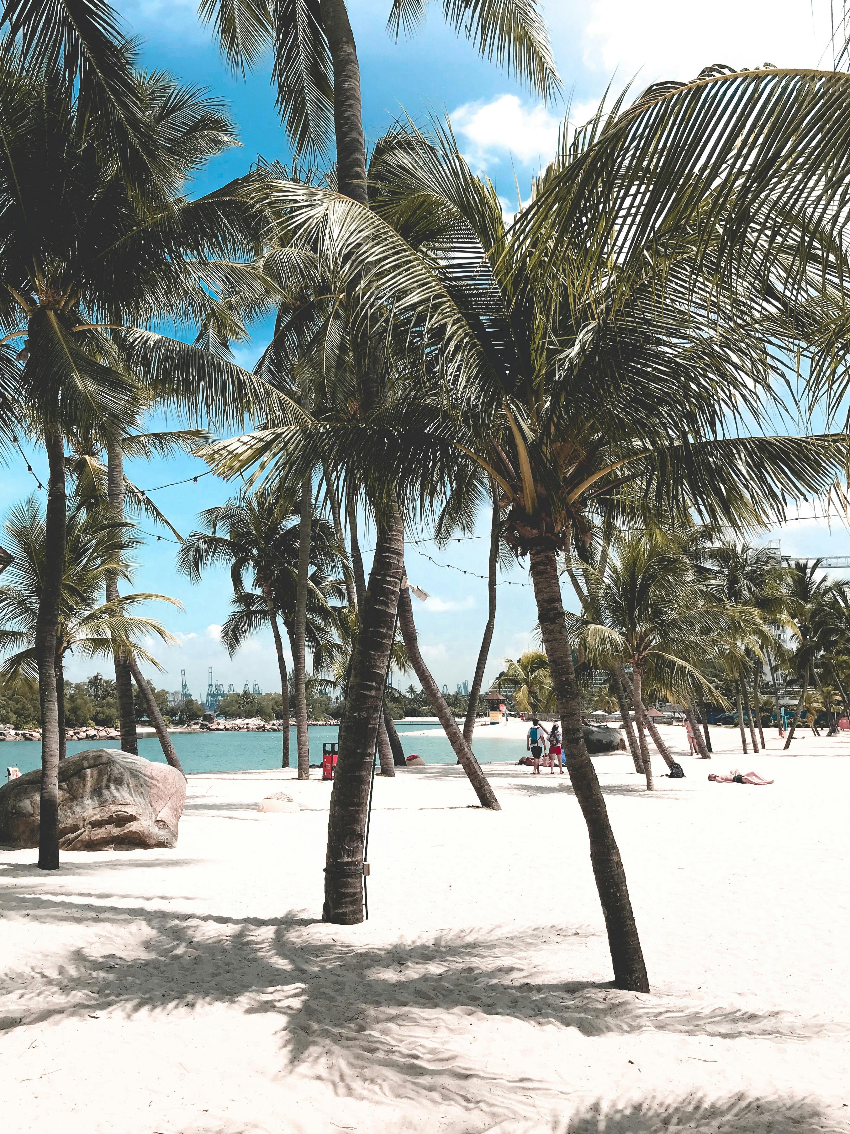 Siloso Beach in Singapore